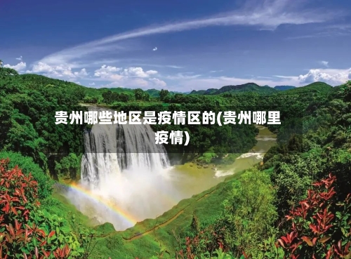 贵州哪些地区是疫情区的(贵州哪里疫情)