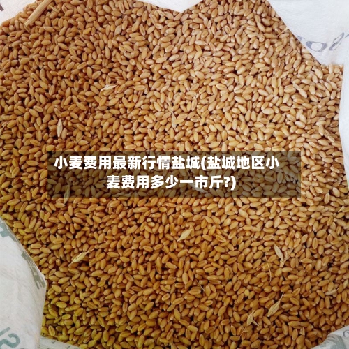 小麦费用最新行情盐城(盐城地区小麦费用多少一市斤?)