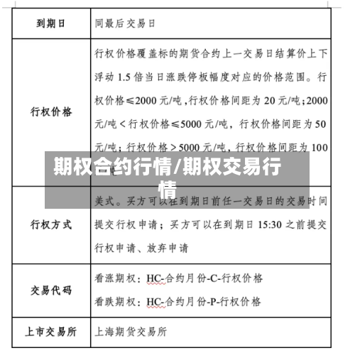 期权合约行情/期权交易行情