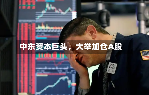 中东资本巨头，大举加仓A股