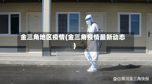 金三角地区疫情(金三角疫情最新动态)