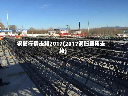 钢筋行情走势2017(2017钢筋费用走势)