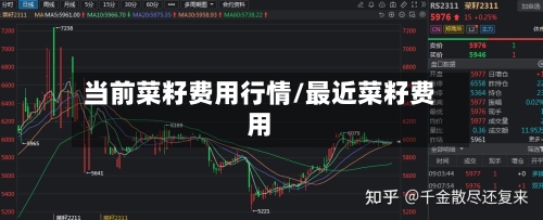 当前菜籽费用行情/最近菜籽费用