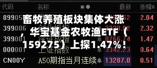 畜牧养殖板块集体大涨，华宝基金农牧渔ETF（159275）上探1.47%！估值低位反转将至？