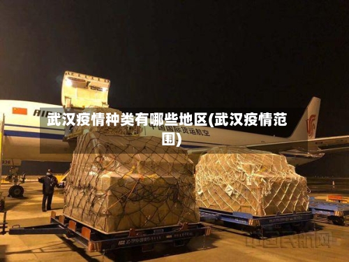 武汉疫情种类有哪些地区(武汉疫情范围)