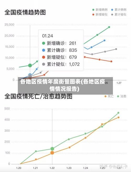 各地区疫情年度衡量图表(各地区疫情情况报告)-第2张图片