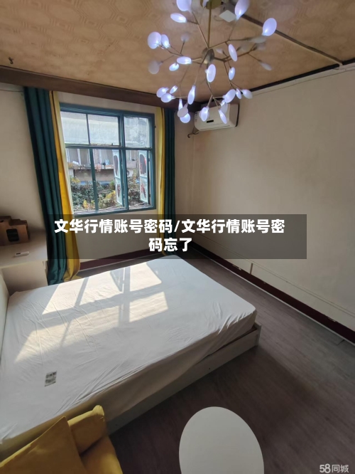 文华行情账号密码/文华行情账号密码忘了