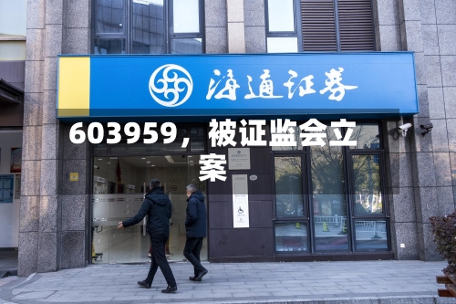 603959，被证监会立案-第3张图片