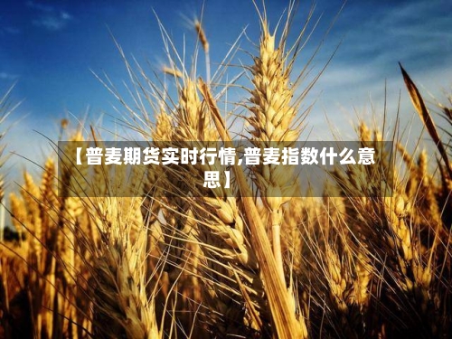 【普麦期货实时行情,普麦指数什么意思】-第3张图片