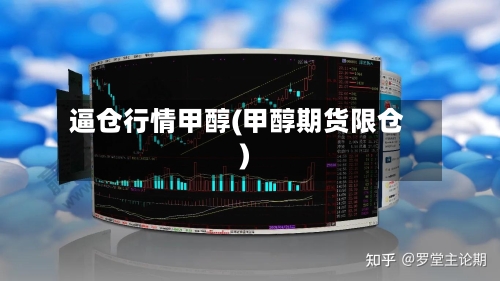 逼仓行情甲醇(甲醇期货限仓)-第2张图片