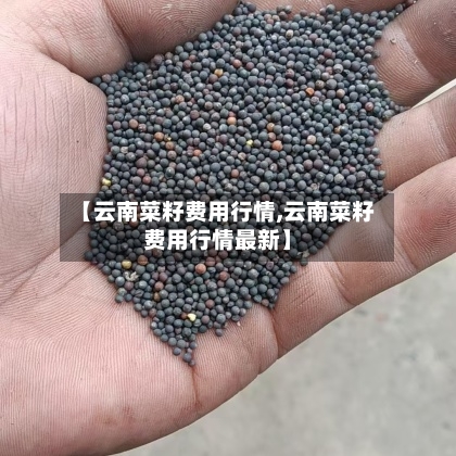 【云南菜籽费用行情,云南菜籽费用行情最新】