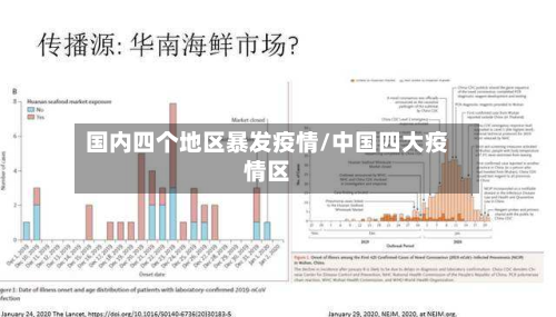 国内四个地区暴发疫情/中国四大疫情区