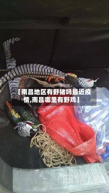 【南昌地区有野猪吗最近疫情,南昌哪里有野鸡】-第2张图片