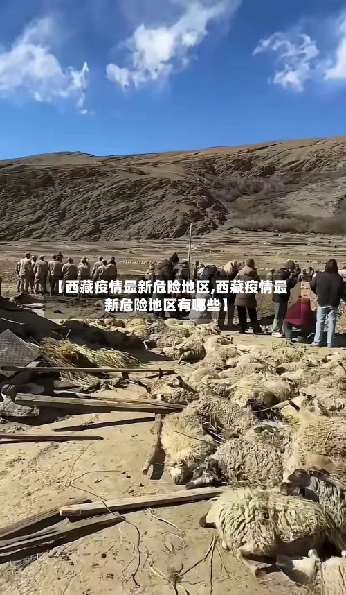 【西藏疫情最新危险地区,西藏疫情最新危险地区有哪些】
