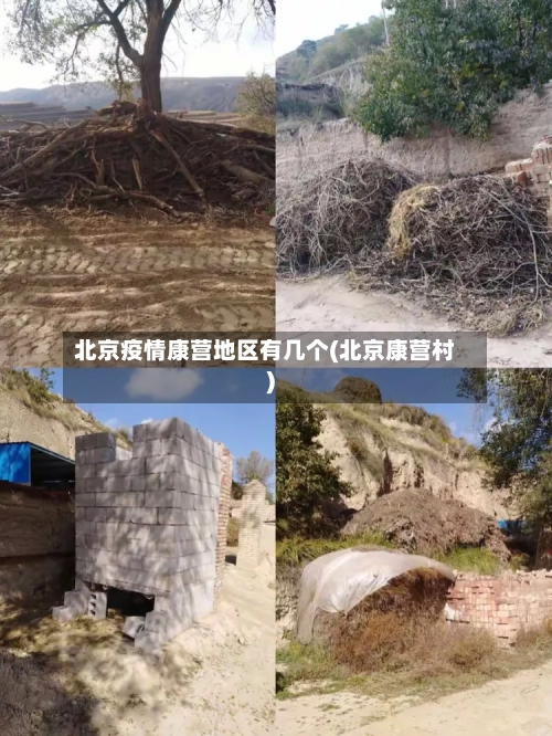 北京疫情康营地区有几个(北京康营村)