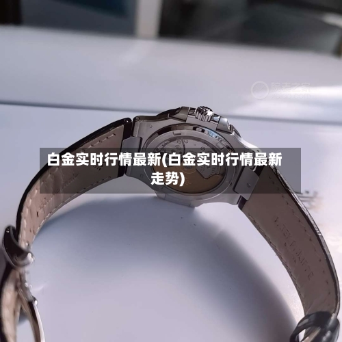 白金实时行情最新(白金实时行情最新走势)