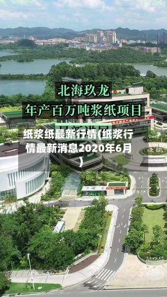 纸浆纸最新行情(纸浆行情最新消息2020年6月)