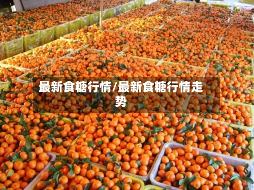 最新食糖行情/最新食糖行情走势