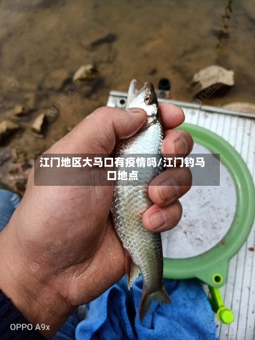 江门地区大马口有疫情吗/江门钓马口地点-第2张图片