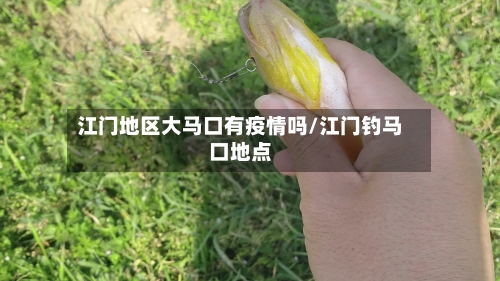 江门地区大马口有疫情吗/江门钓马口地点