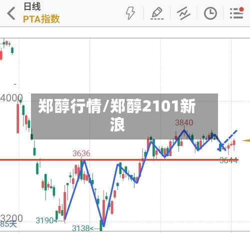 郑醇行情/郑醇2101新浪-第3张图片