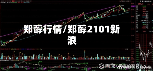 郑醇行情/郑醇2101新浪