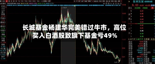 长城基金杨建华完美错过牛市，高位买入白酒股致旗下基金亏49%