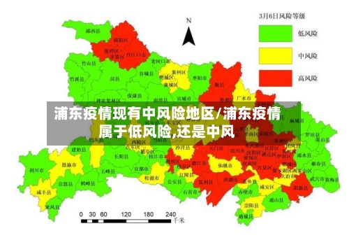 浦东疫情现有中风险地区/浦东疫情属于低风险,还是中风