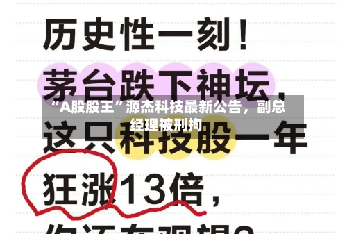 “A股股王”源杰科技最新公告，副总经理被刑拘-第2张图片