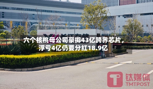 六个核桃母公司豪掷43亿跨界芯片，浮亏4亿仍要分红18.9亿-第2张图片