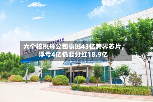 六个核桃母公司豪掷43亿跨界芯片，浮亏4亿仍要分红18.9亿