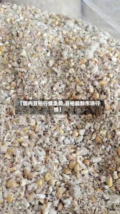【国内豆柏行情走势,豆柏最新市场行情】-第2张图片