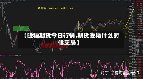 【晚稻期货今日行情,期货晚稻什么时候交易】