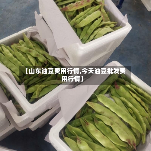【山东油豆费用行情,今天油豆批发费用行情】