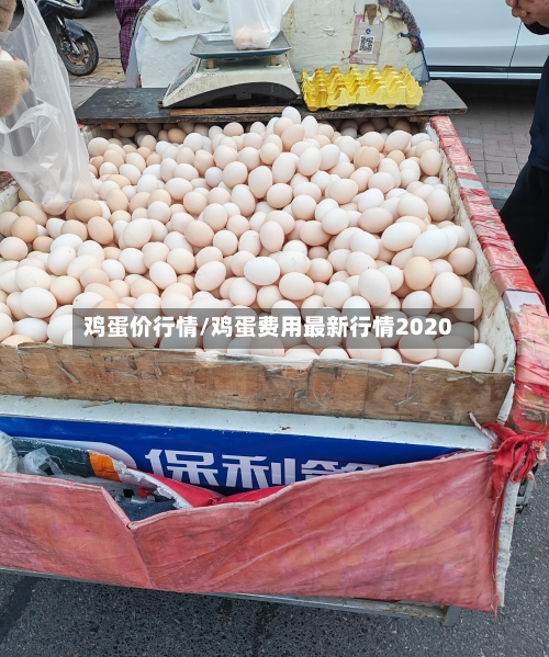 鸡蛋价行情/鸡蛋费用最新行情2020-第3张图片