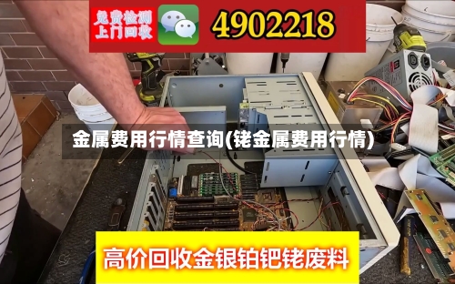 金属费用行情查询(铑金属费用行情)