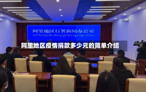 阿里地区疫情捐款多少元的简单介绍