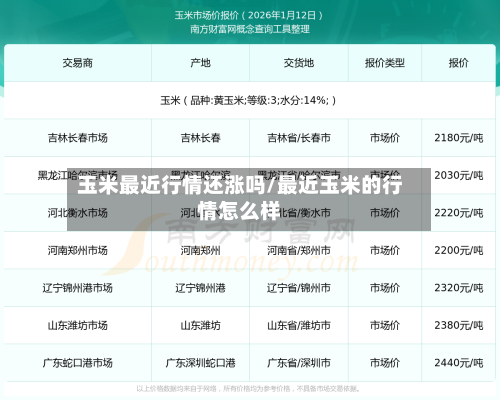 玉米最近行情还涨吗/最近玉米的行情怎么样-第3张图片