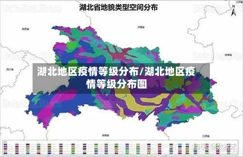湖北地区疫情等级分布/湖北地区疫情等级分布图