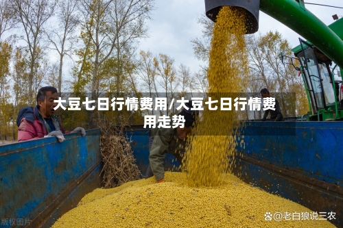 大豆七日行情费用/大豆七日行情费用走势