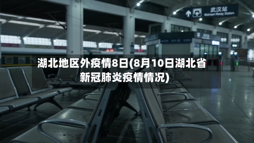 湖北地区外疫情8日(8月10日湖北省新冠肺炎疫情情况)-第2张图片