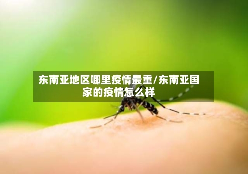 东南亚地区哪里疫情最重/东南亚国家的疫情怎么样