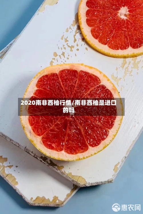 2020南非西柚行情/南非西柚是进口的吗-第2张图片