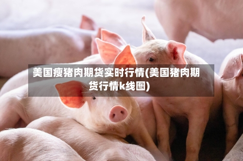 美国瘦猪肉期货实时行情(美国猪肉期货行情k线图)-第2张图片