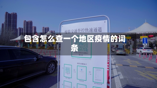 包含怎么查一个地区疫情的词条-第2张图片