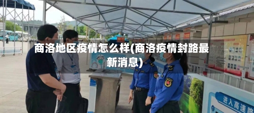 商洛地区疫情怎么样(商洛疫情封路最新消息)-第2张图片