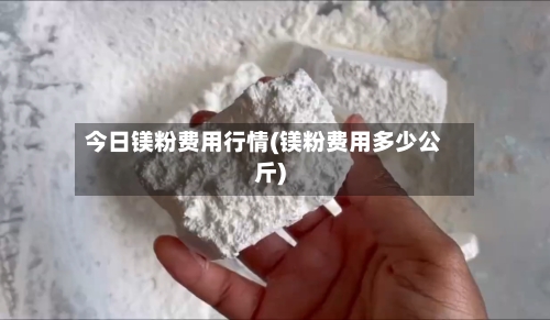 今日镁粉费用行情(镁粉费用多少公斤)