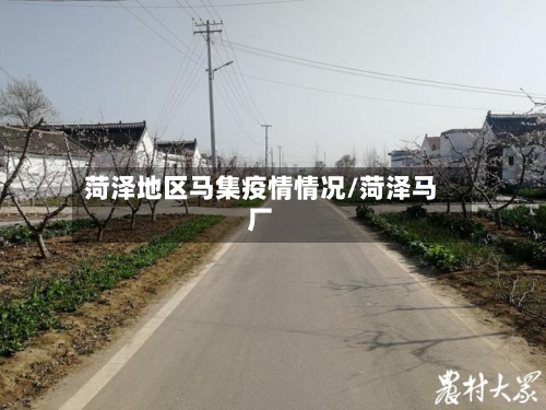 菏泽地区马集疫情情况/菏泽马厂