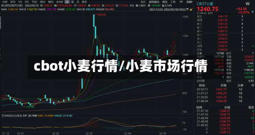 cbot小麦行情/小麦市场行情