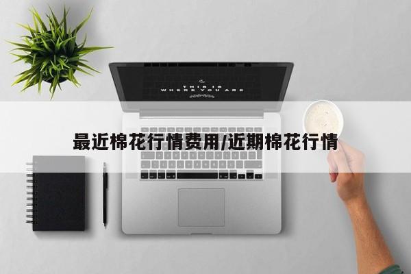 最近棉花行情费用/近期棉花行情